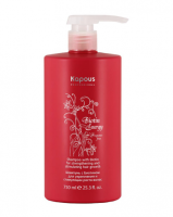 Шампунь с биотином для укрепления и стимуляции роста волос серии "Biotin Energy" Kapous, 750 мл 