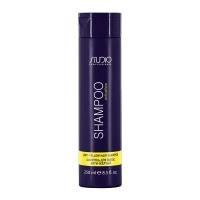 Шампунь для волос Анти-желтый «Antiyellow» линии Studio Professional, 250 мл 